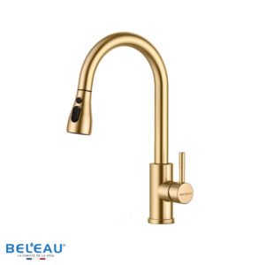 Mezcladora de cocina Clain gold