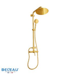 Ducha monomando esqueleto con regadera Ronde gold